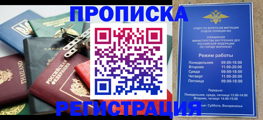 форма 3 в Сольцах