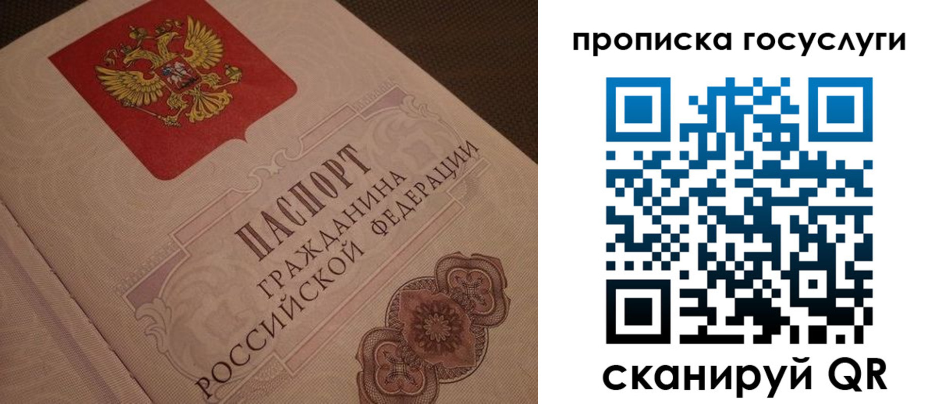 прописка для работы в Сольцах