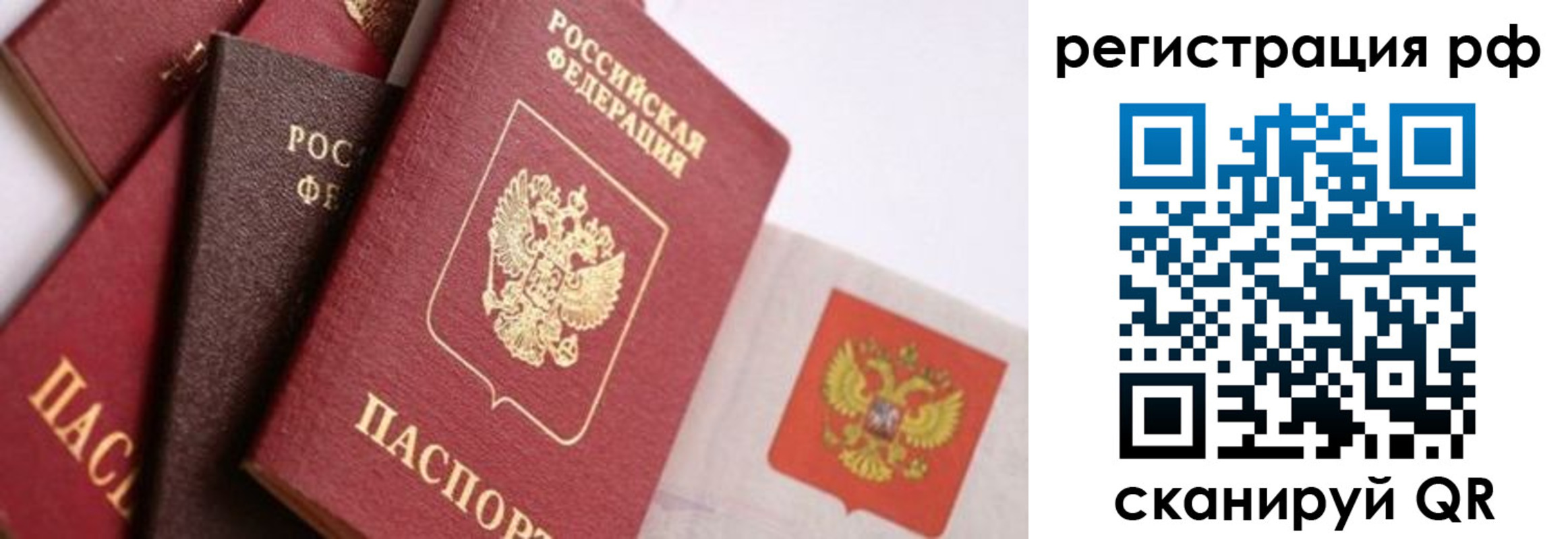 временная регистрация госуслуги в Сольцах